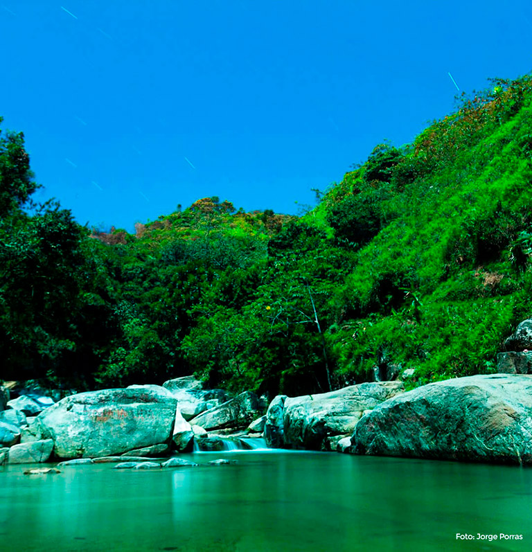 Charco La Plancha Cisneros