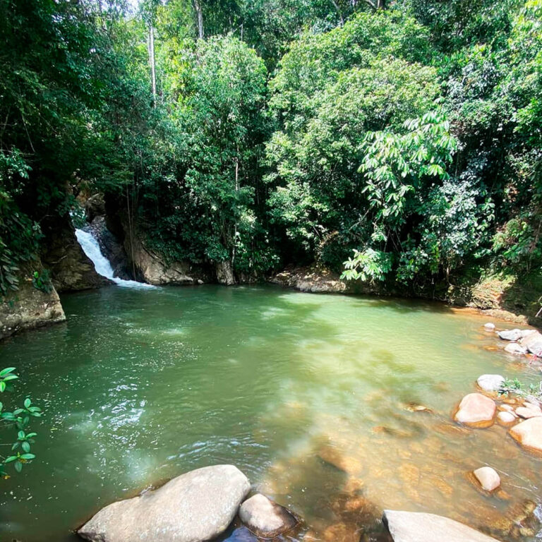 Charco de la mama 2
