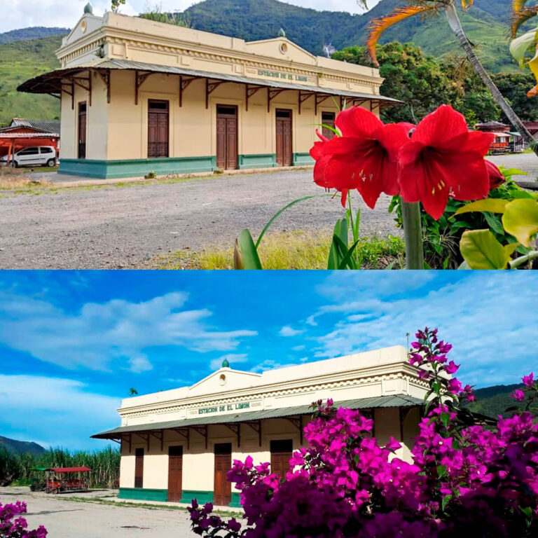 Estación El Limón 2